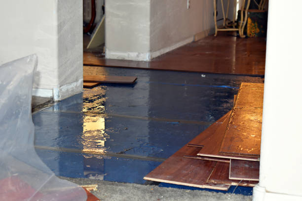 Professional Emergency Water Damage Restoration technician working in Blissfield, OH